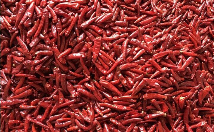 칠리 페퍼 마늘 분류를 위한 RGB CCD 카메라와 와이파이 리모컨으로 1000-1500 kg/h 출력