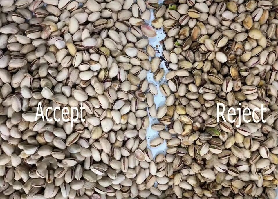 Wenyao 자동 견과류 분류기 TOSHIBA CCD 센서, 스테인리스 304 식품 등급 호퍼 및 Wifi 원격 제어