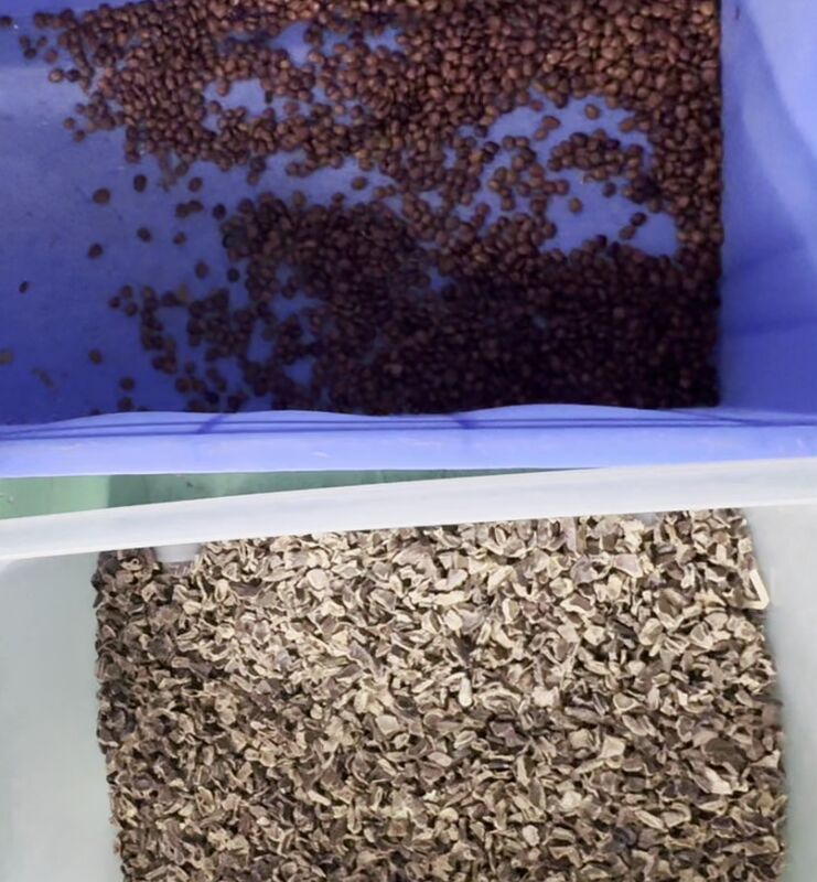 Wenyao 2025 고정밀 최신 지능형 듀얼 벨트 컬러 비누 팟 컬러 선별기 (WIFI 원격 제어 포함)