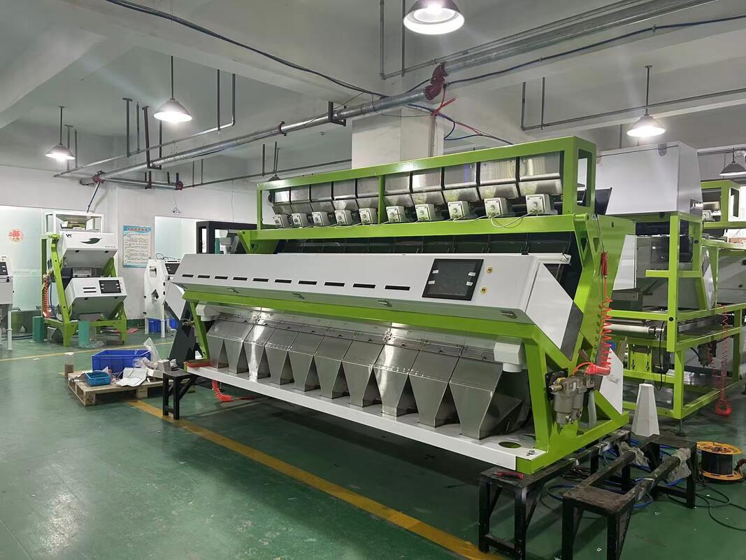 Optical 10 Chutes Wheat Colour Sorting Machine for Wheat Barley Color Sorter in Grain Processing Line