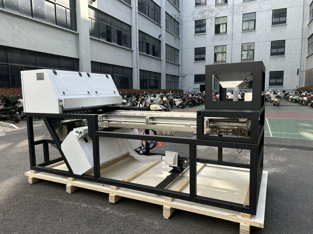 600mm 벨트 너비 높은 용량 주니퍼 컬러 서터 마른 라즈베리 블루베리 곡물 컬러 서팅 기계