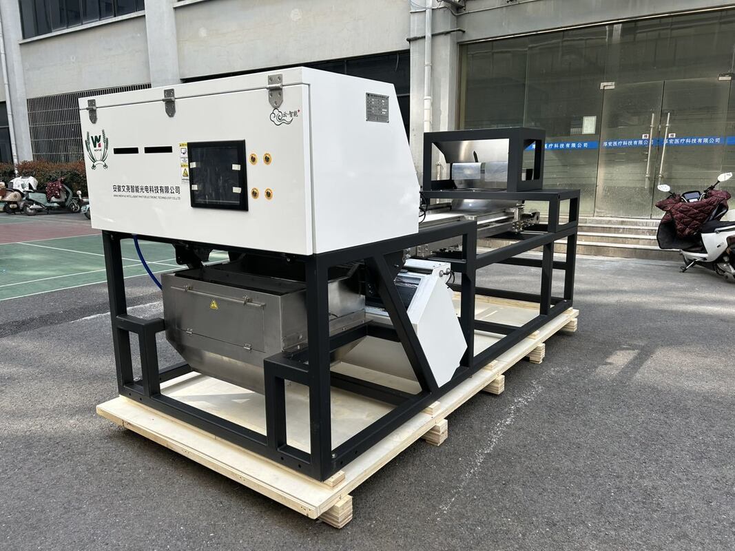 600mm 벨트 너비 높은 용량 주니퍼 컬러 서터 마른 라즈베리 블루베리 곡물 컬러 서팅 기계