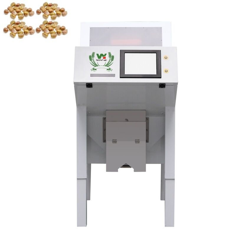 WENYAO 1 차트 광학 색상 정렬 기계 탈수 된 건조 된 가시나무 색상 정렬기