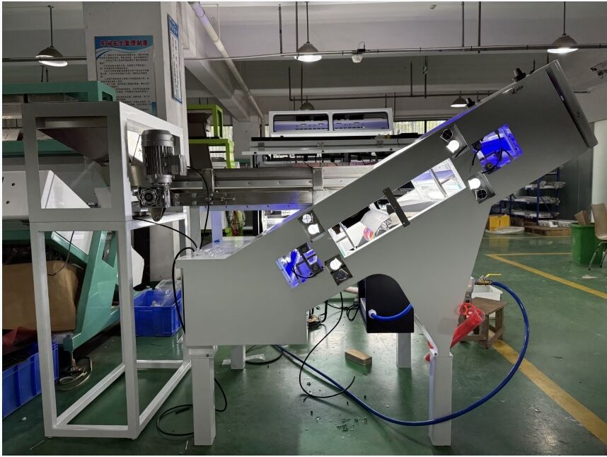 WENYAO 2025 새로운 모델 벨트 커피 체리 및 캄콰트용 광학 색상 분류기