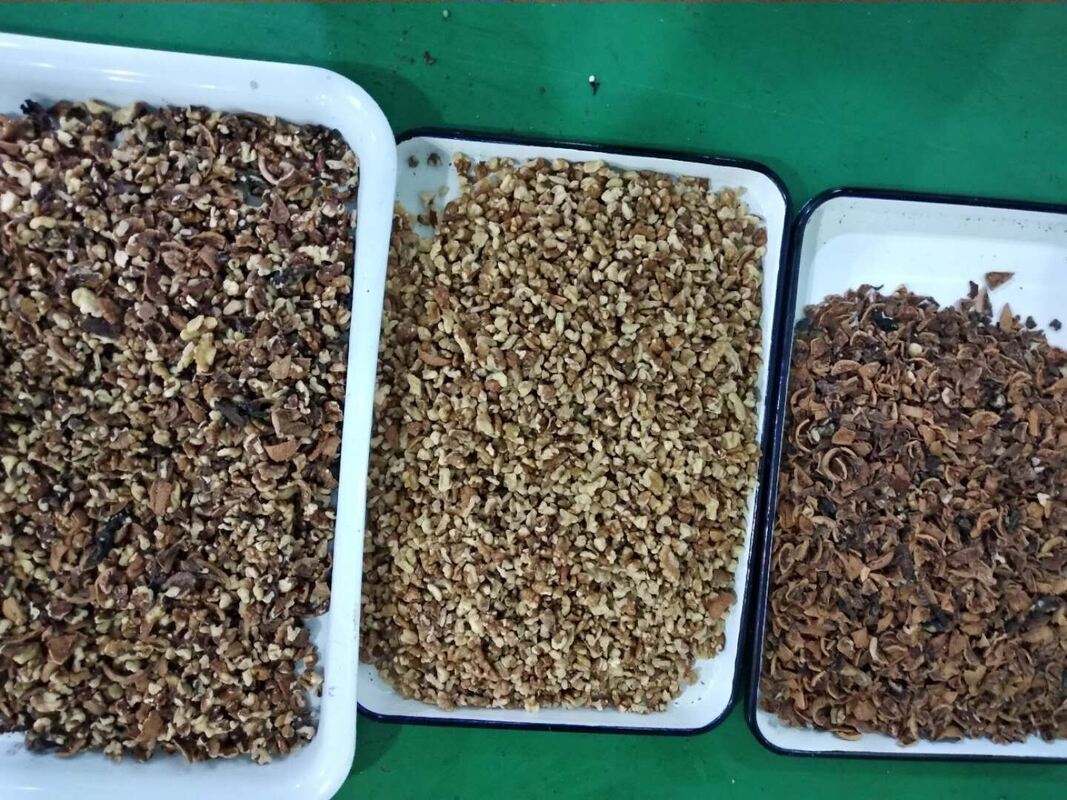 웬야오 프로페셔널 견과류 분리 기계 카슈아 견과류 아레카 견과류 색상 분류 기계 와이파이 원격 제어