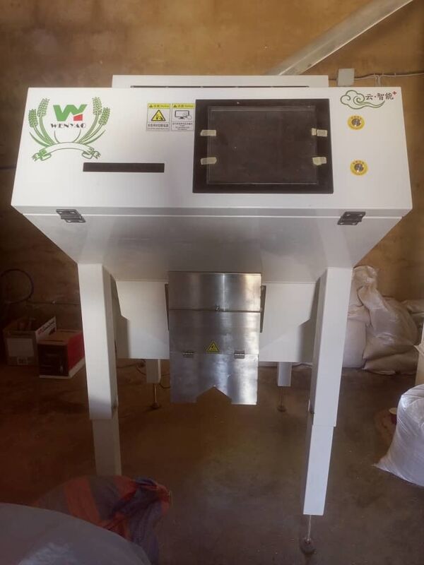 웬야오 핫 셀링 광학 컬러 소터 커피콩 색상 선별기