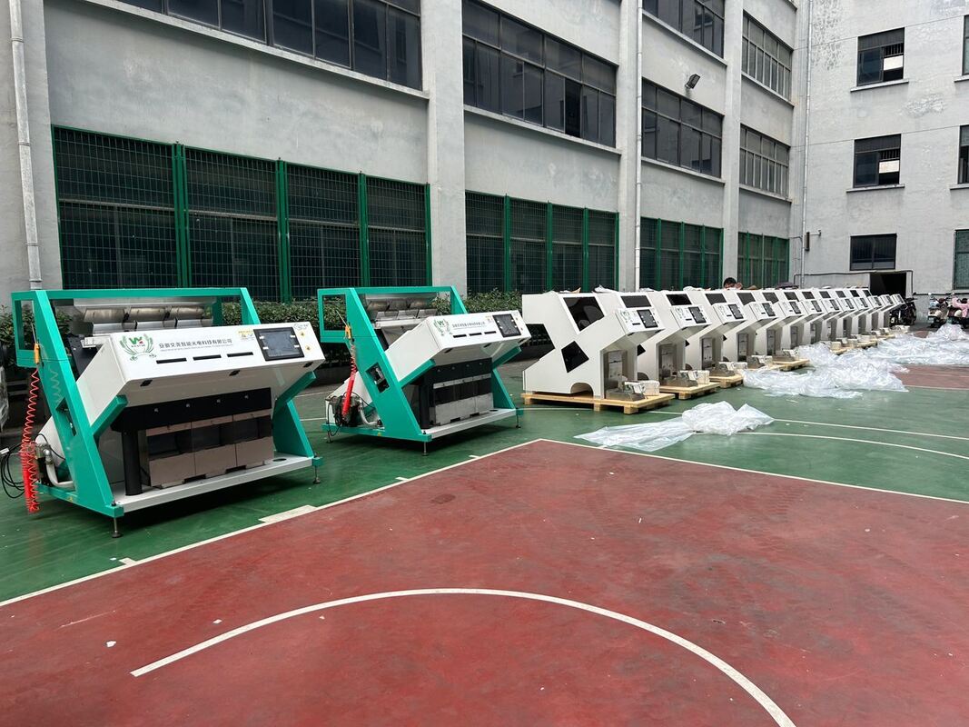 웬야오 핫 셀링 광학 컬러 소터 커피콩 색상 선별기