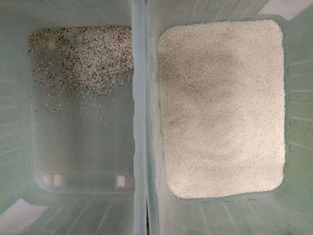 웬야오 고정밀 정렬 쌀 색상 선별기 광학 선별기 (공기 압축기, 공기 탱크 포함) 곡물 청정용