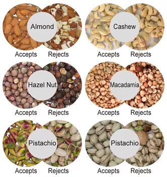 WENYAO CCD 카메라 너트 색상 선별기, 0.3-0.5 PTH 용량 및 2년 애프터서비스 (씨앗, 곡물, 콩, 밀용)