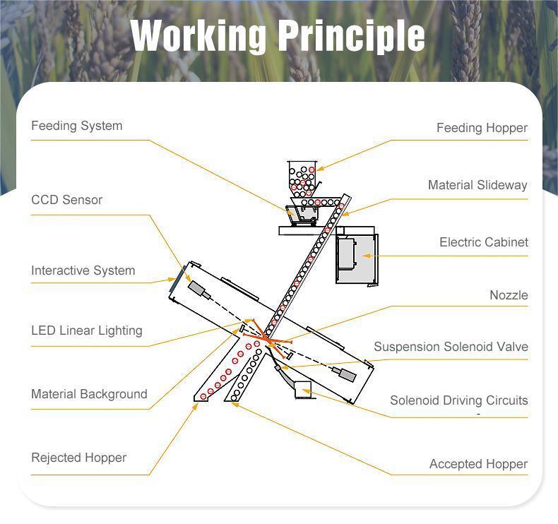 WENYAO 풀 컬러 검출 128 채널 노트 컬러 서터 및 광학 서터
