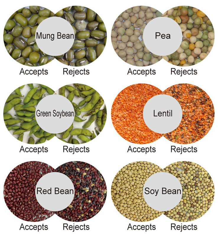 WENYAO 조절 가능한 매개변수 64 채널 고효율 작업 호두 색상 분류기