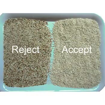 3-8TPH 출력 및 ≥99.99%의 고정도 곡물 색상 분류기 쌀 백밀 퀴노아 밀 밀레