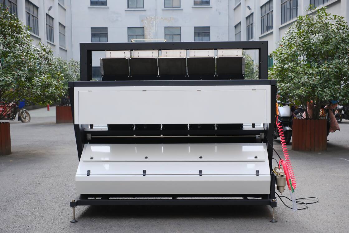 웬야오 5 차트 지능형 광학 분류기 자동 월넛 컬러 сортер 커널 및 셸 소나무 견과류 컬러 сортер 기계