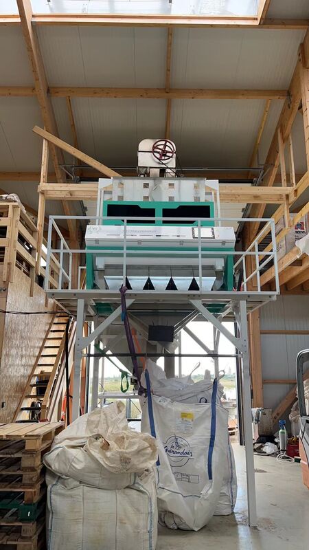 웬야오 5 차트 지능형 광학 분류기 자동 월넛 컬러 сортер 커널 및 셸 소나무 견과류 컬러 сортер 기계