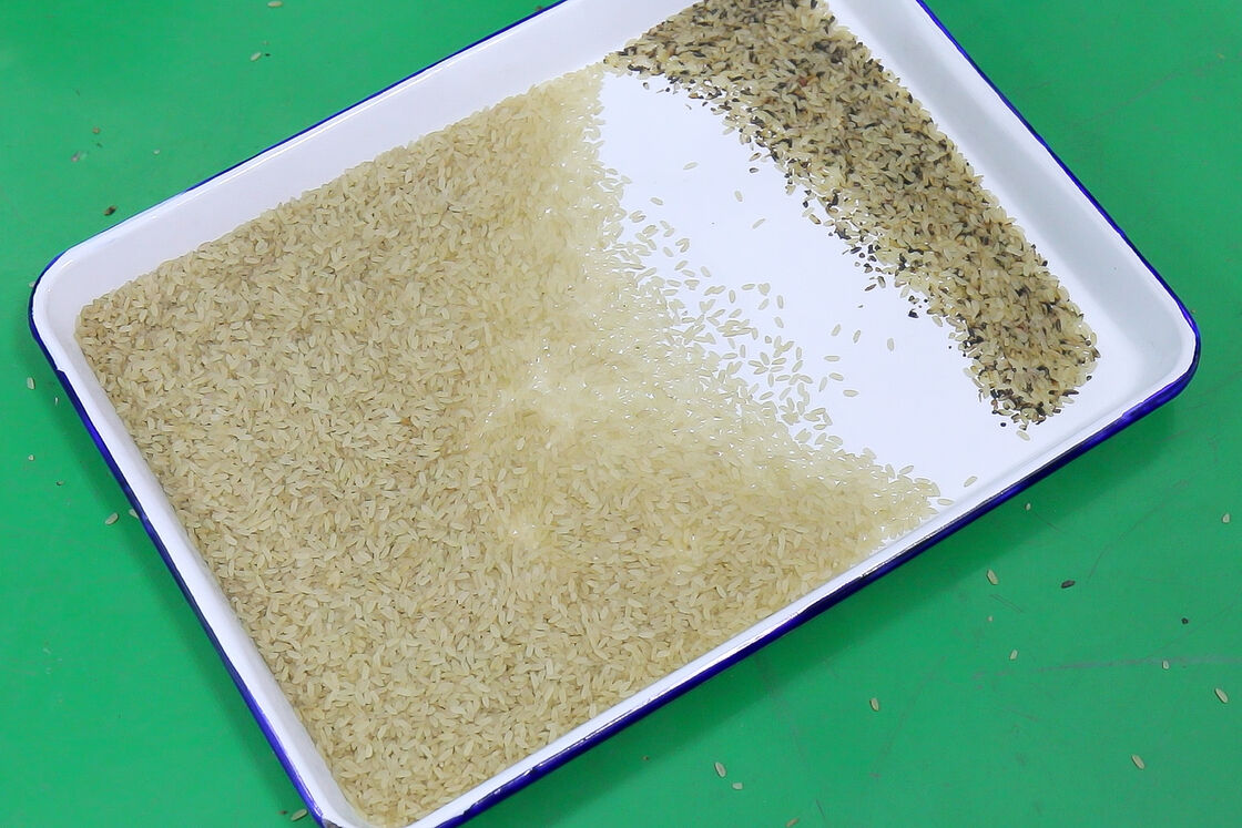 WENYAO 지능형 4 채널 광학 곡물 색상 분류기 고정밀 및 2.-4T/H 용량 쌀 밀 분류기