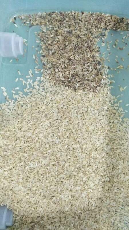 WENYAO 지능형 4 채널 광학 곡물 색상 분류기 고정밀 및 2.-4T/H 용량 쌀 밀 분류기