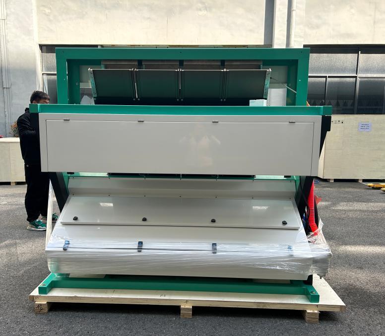 중국 자동 고성능 쌀 광학 색상 선별기 쌀 도정기