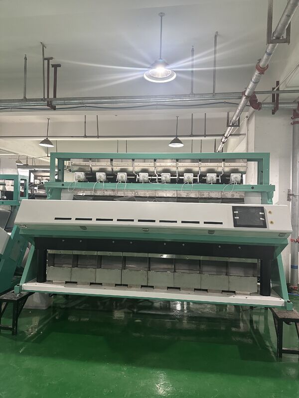 판매용 CE 인증 자동 곡물 광학 색상 분류기 검은콩 커피콩 렌틸콩 색상 분류기 2026