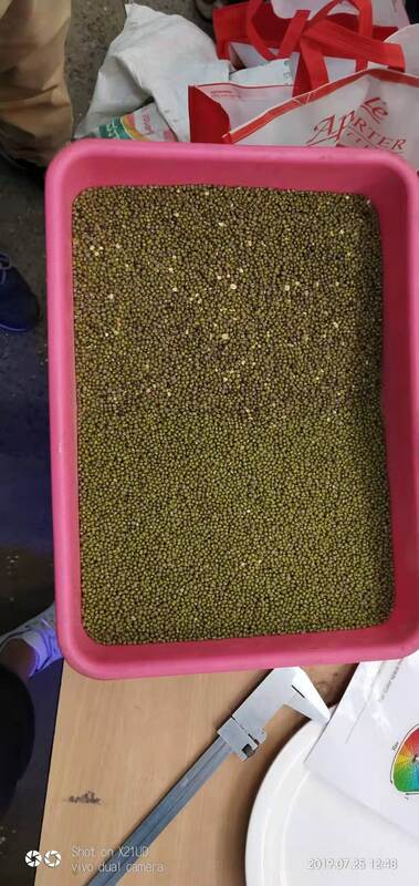 판매용 CE 인증 자동 곡물 광학 색상 분류기 검은콩 커피콩 렌틸콩 색상 분류기 2026