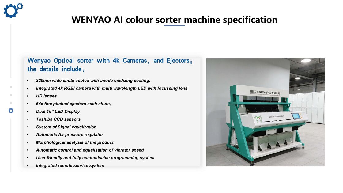 WENYAO Stainless 304 Food Grade High Accuracy 99.99% 5000kg Capacity Coffee Bean Optical Color & Shape Sorter