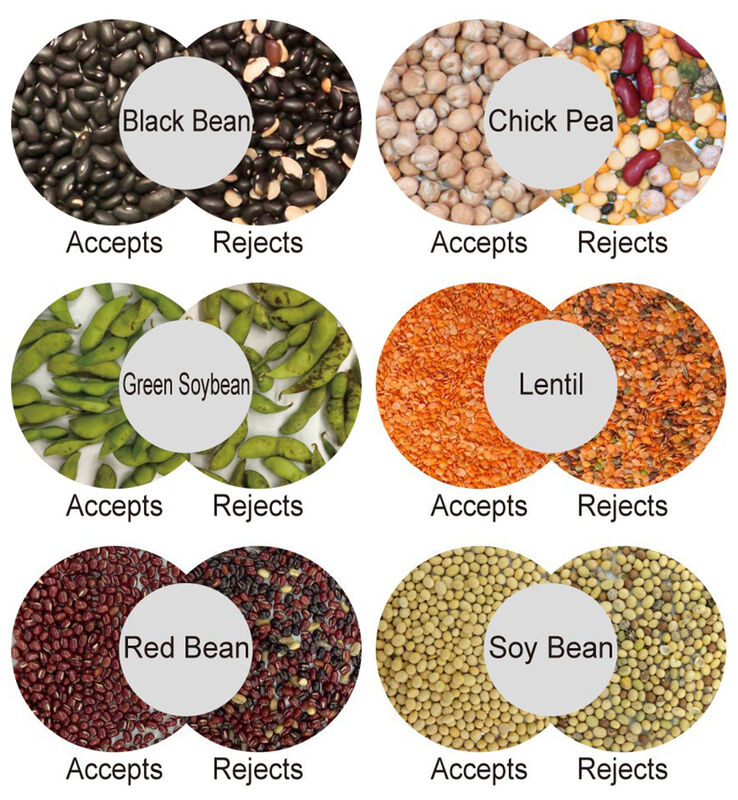 WENYAO Stainless 304 Food Grade High Accuracy 99.99% 5000kg Capacity Coffee Bean Optical Color & Shape Sorter