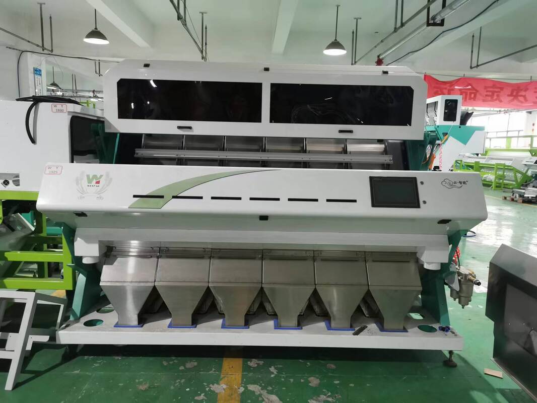 Wenyao Color Sorter Machine with ≥99.99% Sorting Accuracy LED Light Source and Metal Ejector for Grain and Juniper Berries