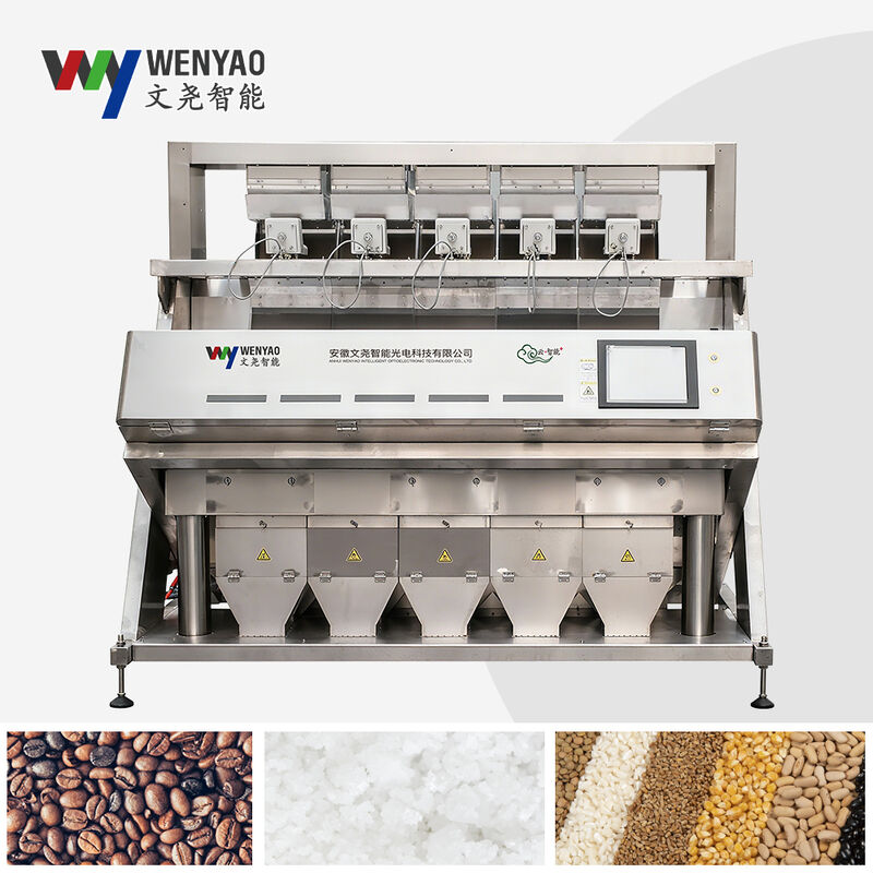 WENYAO 풀 304/316 스테인리스 스틸 지능형 색상 분류 기계 소금 색상 분류기 불순물을 제거