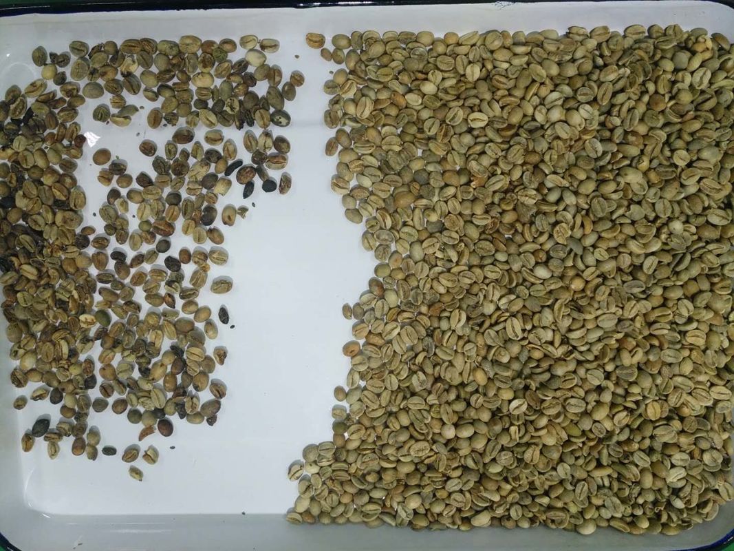 콩 와이파이 리모콘을 위한 4 급류 256 채널 커피색 분류기 기계