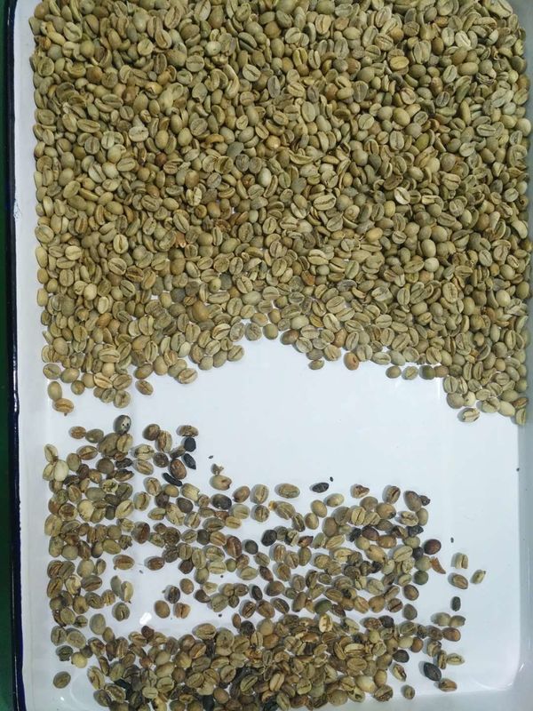 콩 와이파이 리모콘을 위한 4 급류 256 채널 커피색 분류기 기계