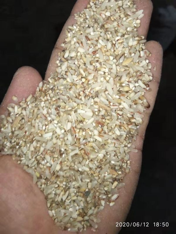 4000kg/H Parboiled 밥 소형 색깔 분류하는 기계 긴 일생 LED 빛