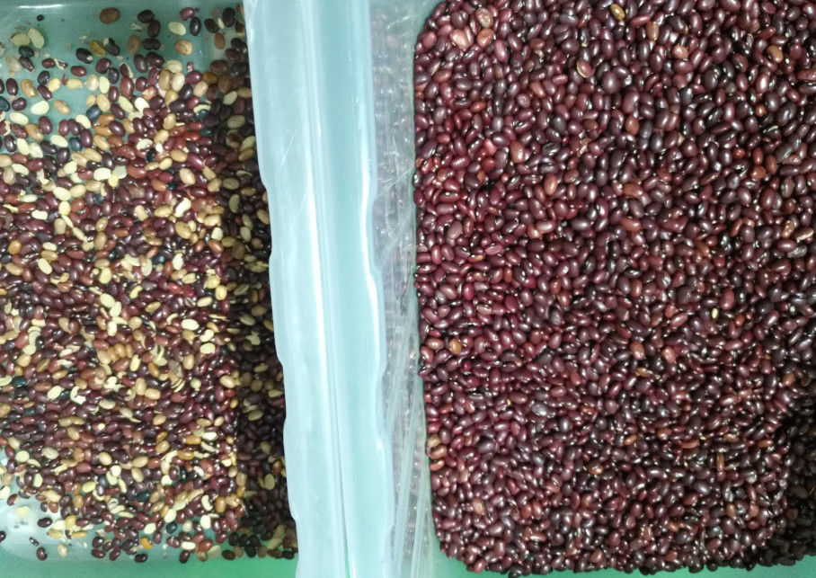 5400 화소 작은 콩 색채 선별기, 800 kg/H 콩 소팅 머신