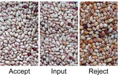 콩 색상 선별기 펄스 정렬 선택기 기계 녹두 검은 소험 씨앗 청소 장비