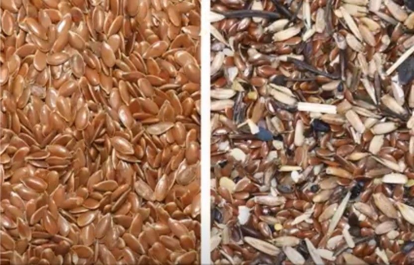 WENYAO 300-500kg 씨 선택 기계 양파 씨 분류 디지털 광학 미니 컬러 정렬 기계