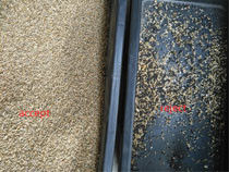 1는 호밀 종자를 위한 64 채널 웬야오 색채 선별기를 떨어뜨립니다