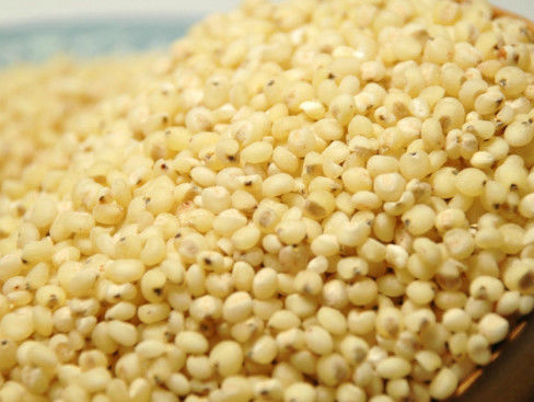 웬야오 낟알색 분류기, 사탕수수 소팅 머신 CE ISO9001