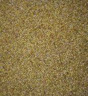 고수풀 씨 색채 선별기 고수풀 씨 색선별기 고수풀 씨 분리대