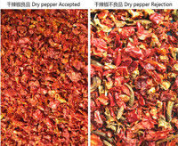 웬야오 차트 타입 AI 인터텔리전트 건조 칠리 분류 빨간 칠리 분리 자정 기능 색상 분류기