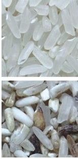 스테인리스 304 식품 등급 호퍼와 함께 작동하기 쉬운 커피 컬러 분류 기계