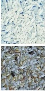 스테인리스 304 식품 등급 호퍼와 함께 작동하기 쉬운 커피 컬러 분류 기계