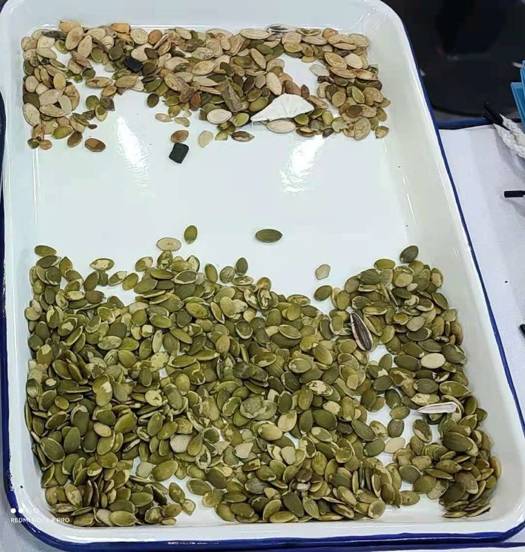 웬야오 대용량 1000kg CCD 오렌지 씨앗 색상 분류 기계 파슬리 씨앗 색상 분류기