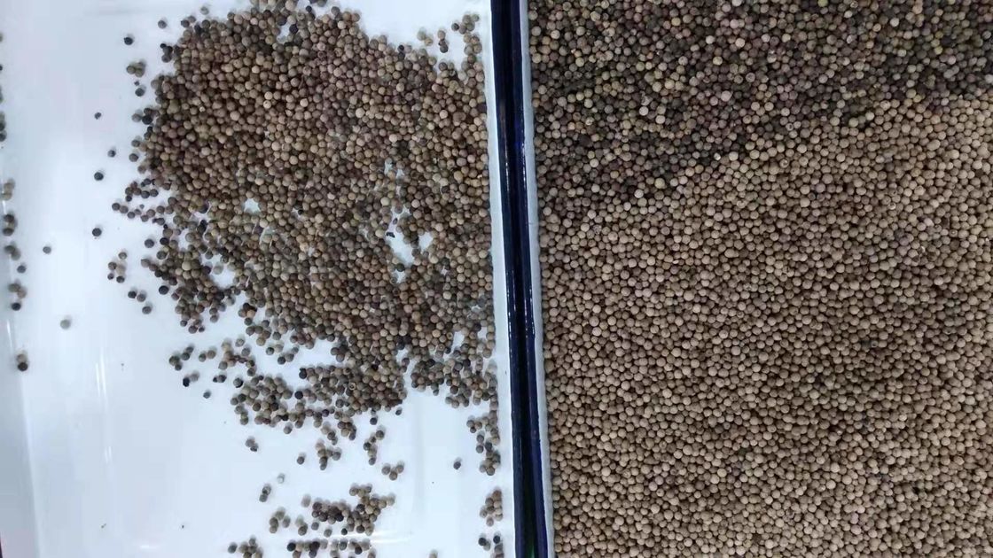 5개의 슈트 참깨 색상 분류기 고정확도 5000kg/H