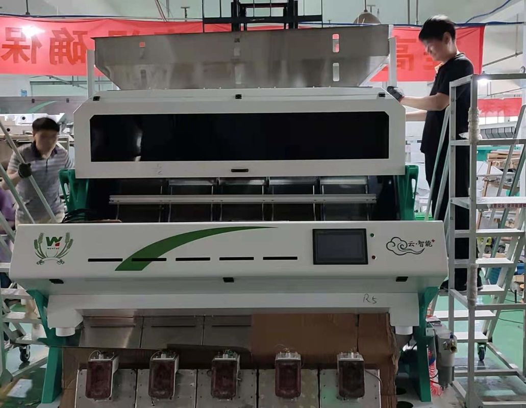 달 콩 렌즈콩 광학 Rgb 카메라 색선별기 5000 kg/H 처리량