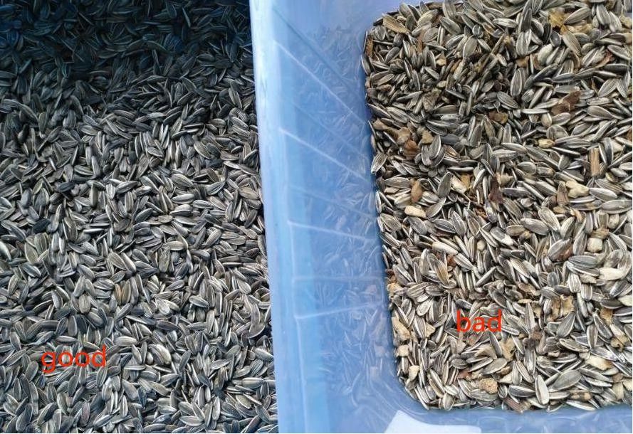 쌀 밀에 대한 2 슈트 3Tons/H 용량 해바라기 씨앗 색상 분류기