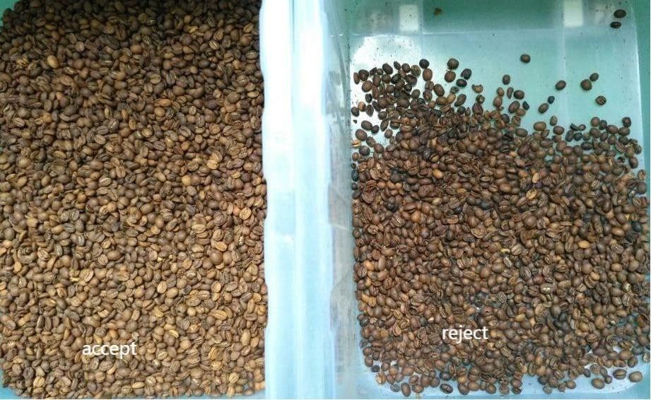 웬야오 1 차트 500kg/h 고출력 CCD 색상 분리기 굽은 커피 콩 색상 분류 기계 녹색 콩 색상 분류기