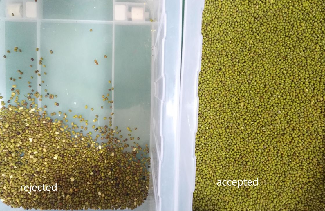 192 채널 다기능 녹두 색상 분류기 기계 3000kg/H