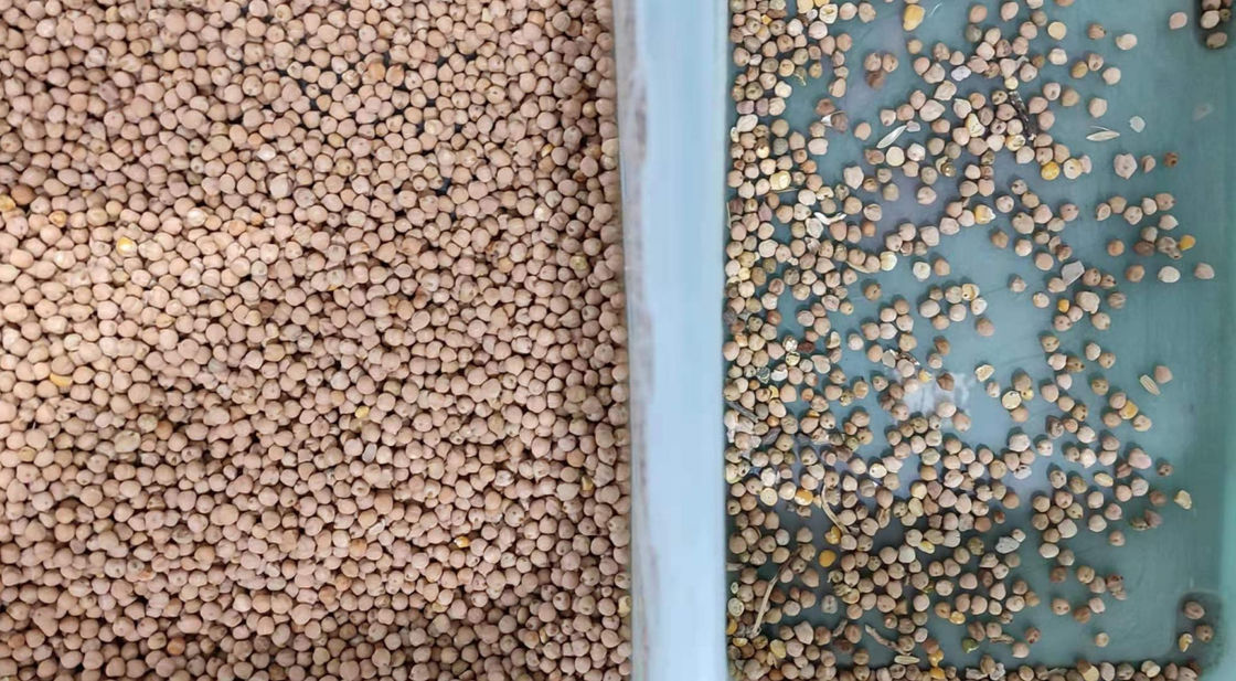 5400 화소 고해상 CCD 사진기를 가진 800kg/H 콩 색깔 분류기