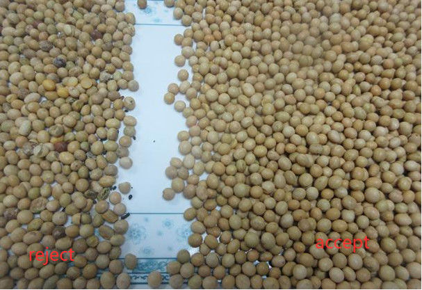 콩 3000kg/H를 위한 Toshiba HD 화상 진찰 색깔 분류기 기계