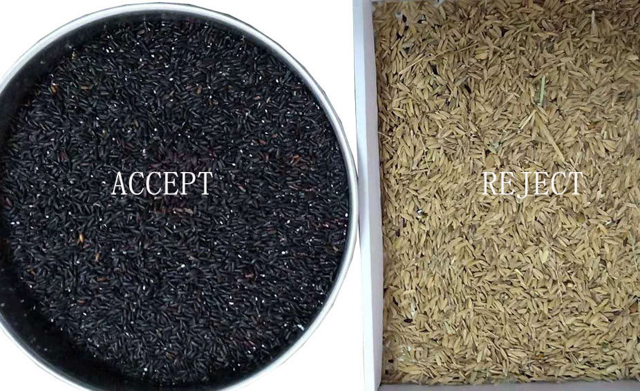 CCD 센서 Parboiled Rice Color Sorter with Toshiba HD Imaging Capture