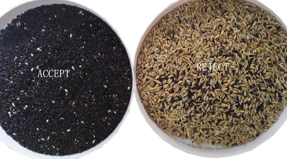 CCD 센서 Parboiled Rice Color Sorter with Toshiba HD Imaging Capture