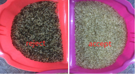 CCD 센서 Parboiled Rice Color Sorter with Toshiba HD Imaging Capture